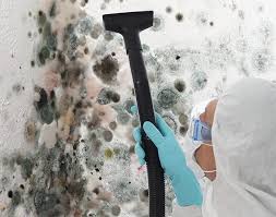 Environmental Consulting for Mold Prevention